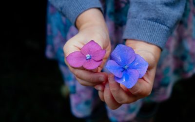 loslaten-of-vasthouden_hand-nature-person-flower-purple-petal-681902-pxhere