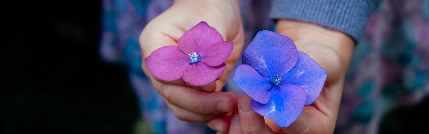 loslaten-of-vasthouden_hand-nature-person-flower-purple-petal-681902-pxhere